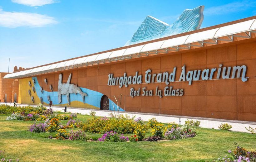 Hurghada Grand Aquarium Day Tour